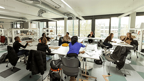 study area