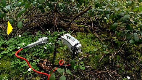 Research forest